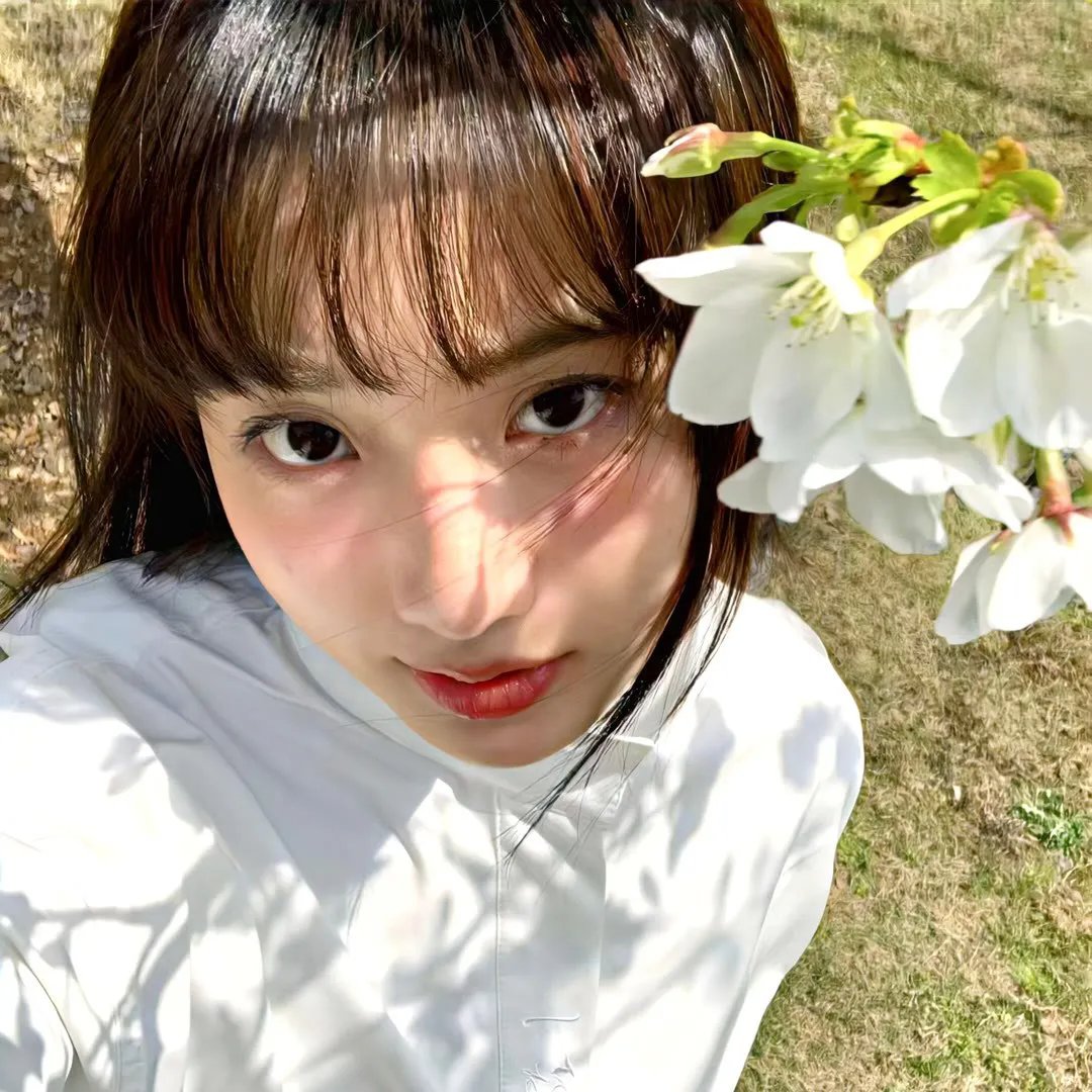 空中浩劫第十三季